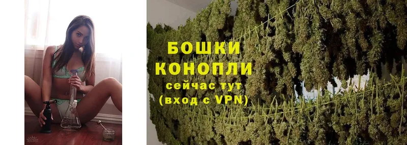 kraken маркетплейс  Губкинский  Шишки марихуана Ganja 